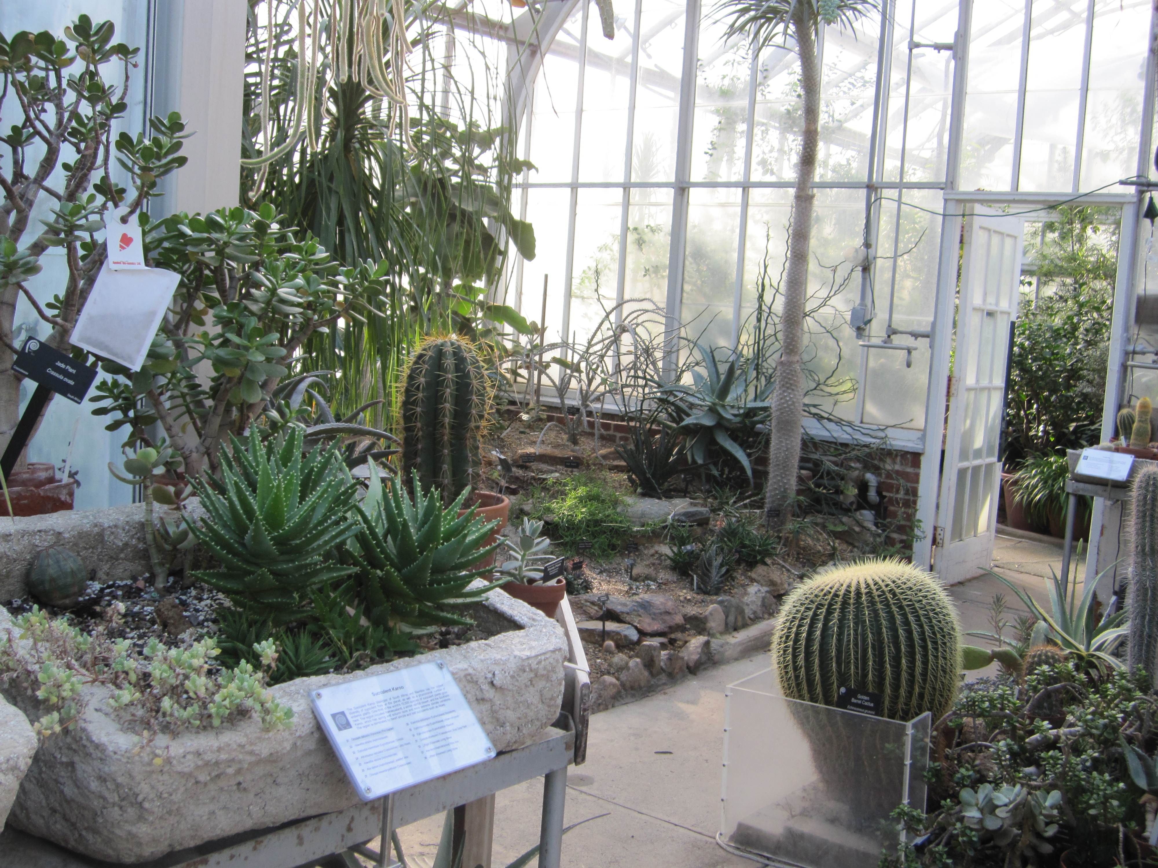 Wellesley greenhouse 101